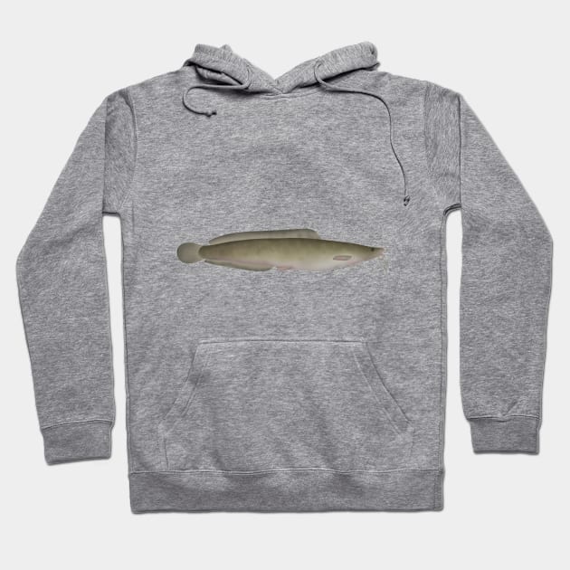 North Africa Catfish Hoodie by FishFolkArt